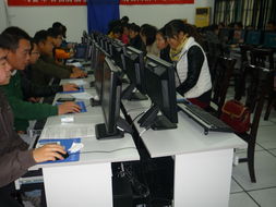 茅山鎮(zhèn)計(jì)算機(jī)信息高新技術(shù)培訓(xùn)考試圓滿落幕，數(shù)字技能賦能鄉(xiāng)村振興新篇章